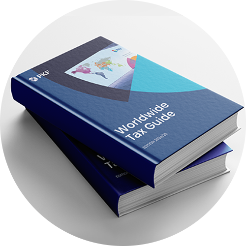 Worldwide Tax Guide görseli